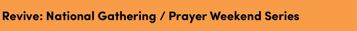 Home page 8x1 Orange Revive Se